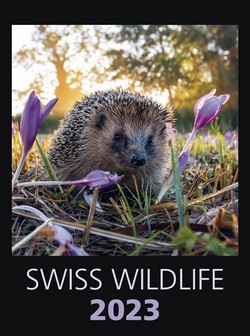 Swiss Wildlife