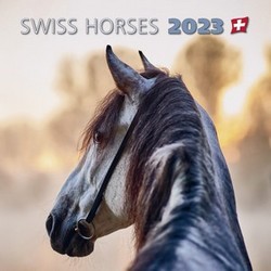 Swiss Horses