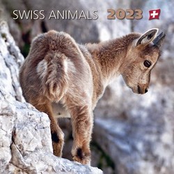 Swiss Animals