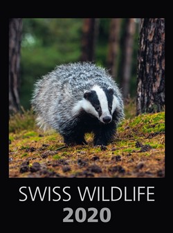 Swiss Wildlife