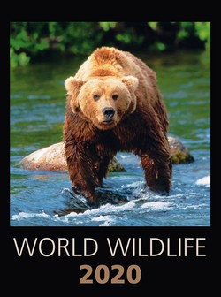 World Wildlife